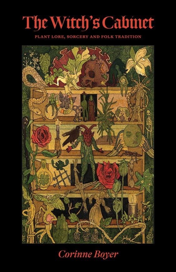 Item #X-CAB THE WITCH'S CABINET: Plant Sorcery, Lore, and Folk Tradition. Corinne Boyer.